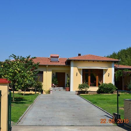 Kavala Villa 360 Degrees Green Amisianá Dış mekan fotoğraf