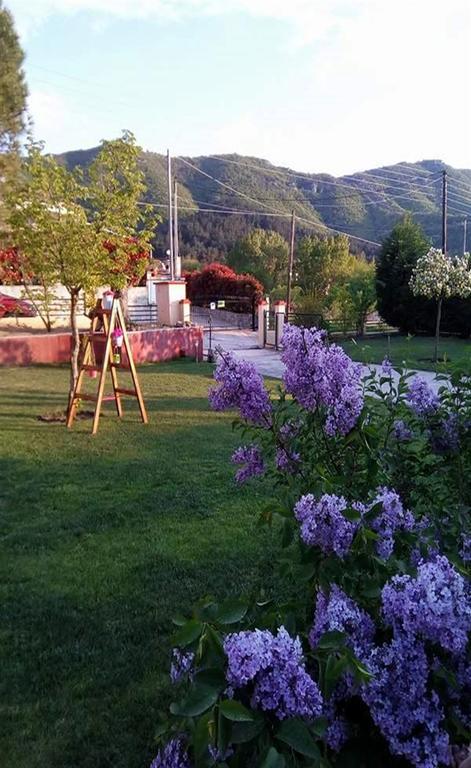 Kavala Villa 360 Degrees Green Amisianá Dış mekan fotoğraf